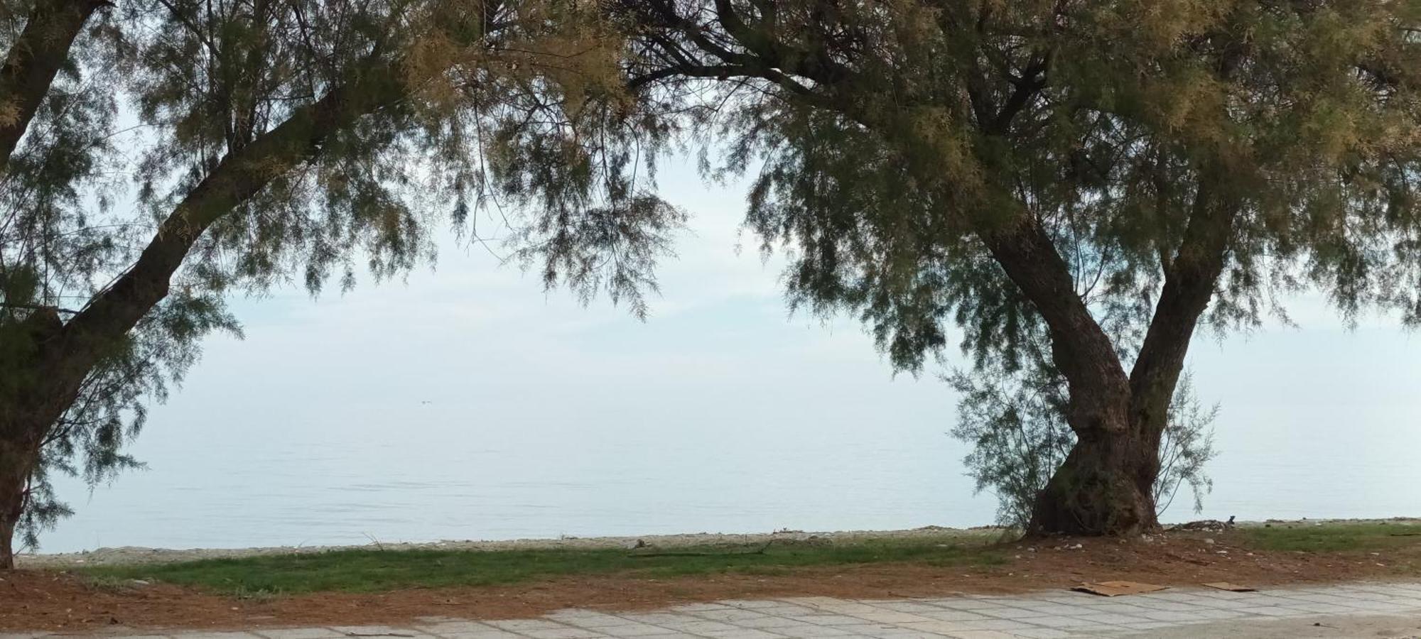 Mana Mia Seaside Apartments Leptokariá Kültér fotó