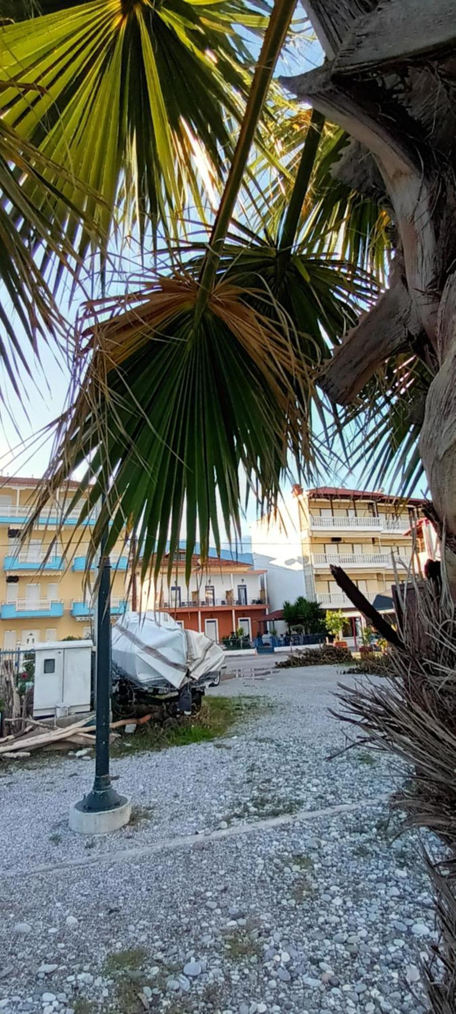 Mana Mia Seaside Apartments Leptokariá Kültér fotó